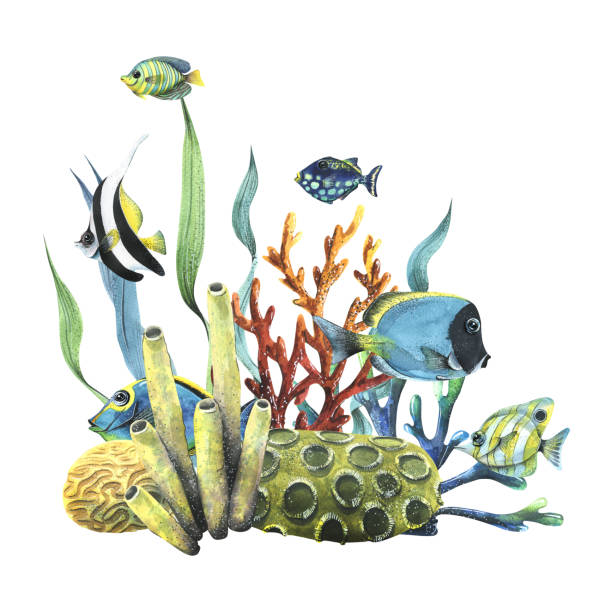 istock Bright reef fish with corals, sea sponges and algae. Watercolor illustration. Composition from the collection TROPICAL FISHES. For decoration and design of summer and beach prints, stickers. 1472118759