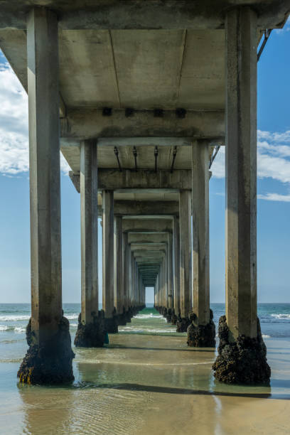 istock Scripps pier in La Jolla, San Diego, California 1472119628