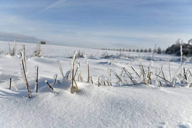 An einem wunderschönen Sonntag im Februar bei einem Spaziergang durch die frisch eingeschneite Rhön