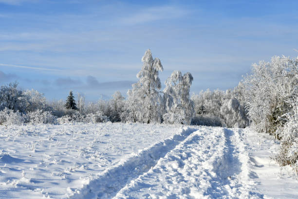 istock Beautiful winter landscape in sunny weather 1472119968