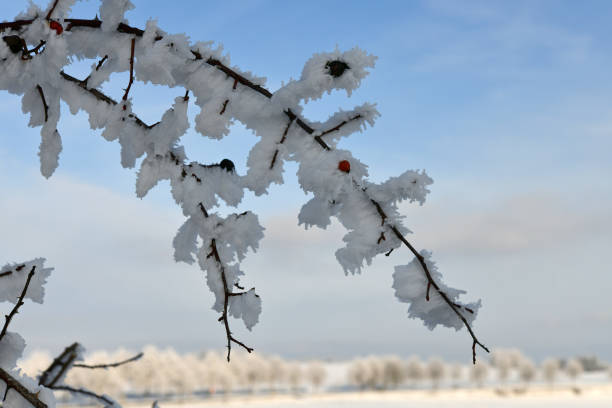 An einem wunderschönen Sonntag im Februar bei einem Spaziergang durch die frisch eingeschneite Rhön