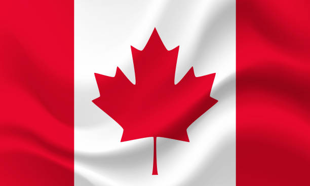 ilustraciones, imágenes clip art, dibujos animados e iconos de stock de bandera vectorial de canadá. bandera canadiense. ilustración de la bandera de сanada. - canadian flag illustrations