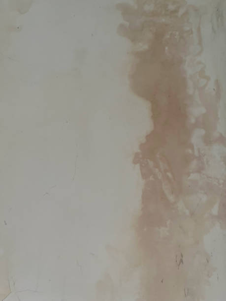 primer plano de cartón de pared de yeso manchado con infiltración de agua - mold molding wall wet fotografías e imágenes de stock