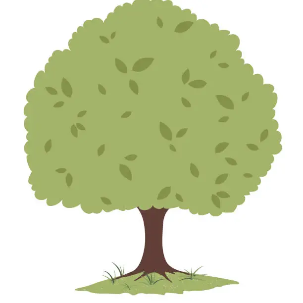 Vector illustration of Isolated Single Shade Tree