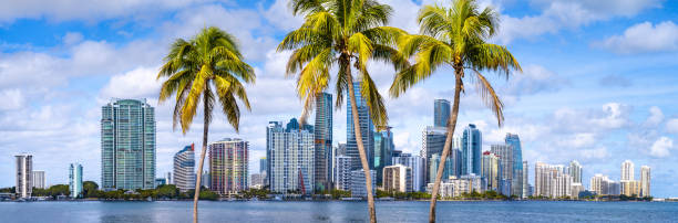 miami stock photo