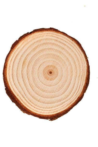 istock Wood plank to use as background and texture. 1472131430
