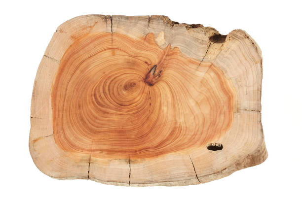 istock Wood plank to use as background and texture. 1472131955
