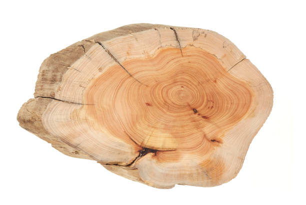 istock Wood plank to use as background and texture. 1472131956