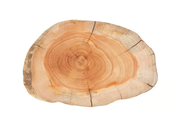 istock Wood plank to use as background and texture. 1472131974