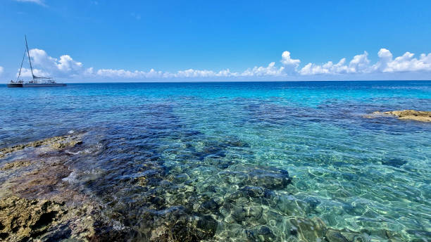 istock Mexico Cozumel Island 1472134179