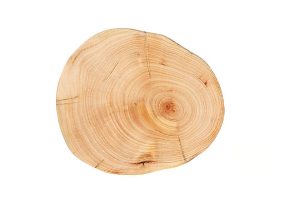 istock Wood plank to use as background and texture. 1472135099