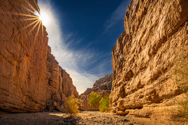 istock Mecca Ladder Canyon Trail 1472135872