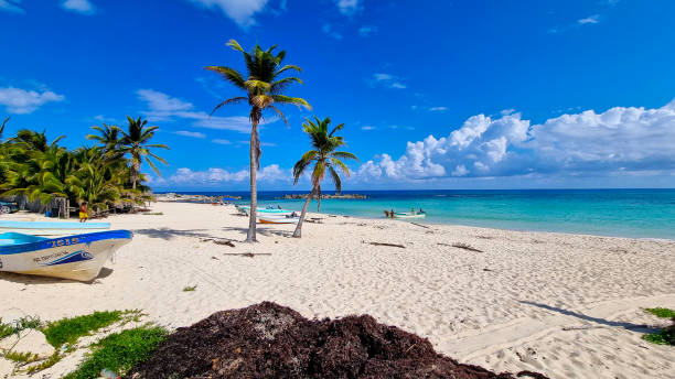 istock Mexico Cozumel Island 1472136188