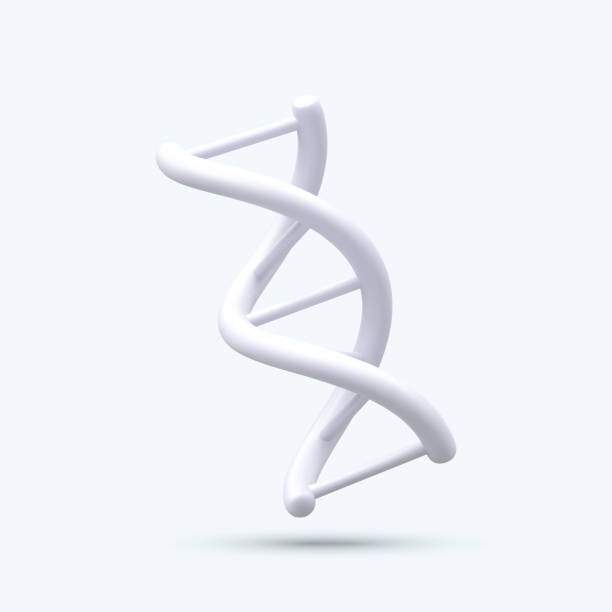 3d realistic medical spiral genetic dna isolated in white background. Banner for molecular chemistry, physics science, biochemistry in cartoon style. Vector illustration 3d realistic medical spiral genetic dna isolated in white background. Banner for molecular chemistry, physics science, biochemistry in cartoon style. Vector illustration. human genome code stock illustrations