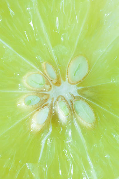 istock macro lemon background,Macro Lime,Lemon and green lime overlapped slices close-up background,Macro lemon texture 1472139744