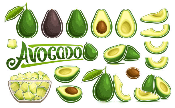 Vector Avocado Set Vector Avocado Set, banner with collection of cut out illustrations veggie still life composition with green leaves, ripe chopped avocado in glass dish, group of various oily fruits and text avocado avocado stock illustrations