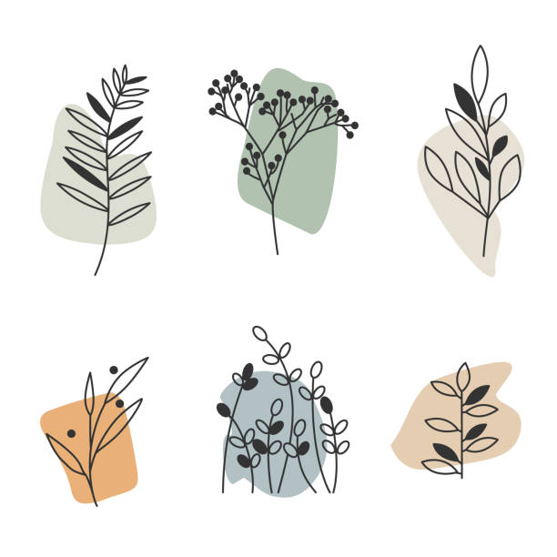 hand drawn plant elements, sprouts, branches, aesthetic template set vector art illustration