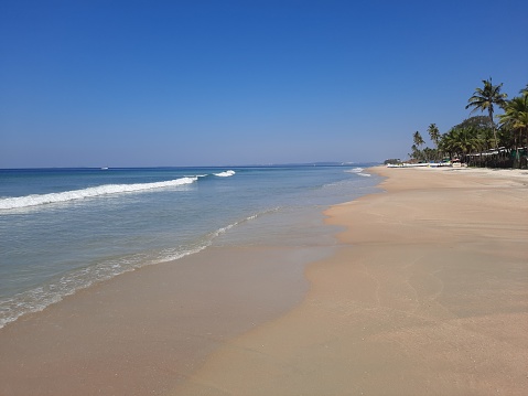 Colva beach in goa. tropical beach with palm trees and blue sky. beautiful white sand beach. Arabian sea beach in goa.