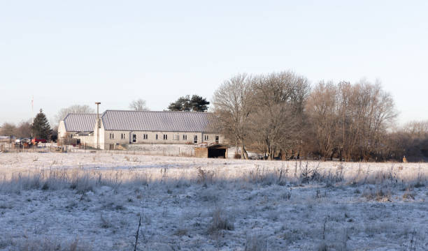 un campo nevado con la casa al fondo. - denmark house cottage rural scene fotografías e imágenes de stock