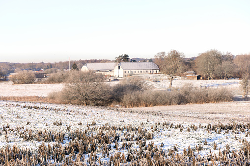 A snowy field with the house in the background.