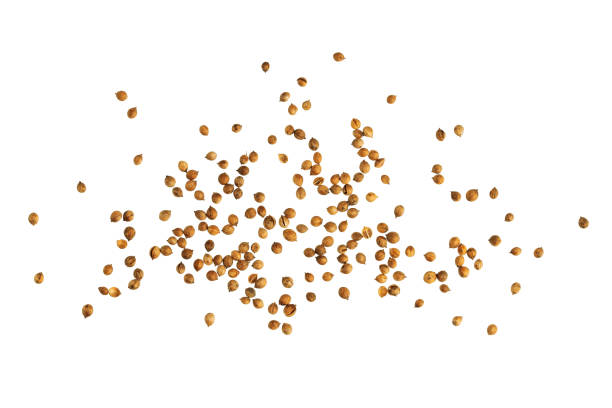 istock dried spices coriander and allspice, scattered on the table 1472150294