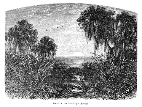 Sunset over the bayou at the mouth of the Mississippi River, Louisiana, USA. Pen and pencil illustration engravings, published 1872. This edition edited by William Cullen Bryant is in my private collection. Copyright is in public domain.