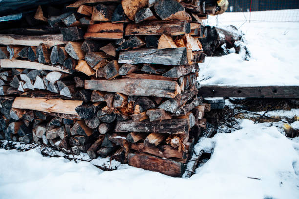 WOOD STOCK