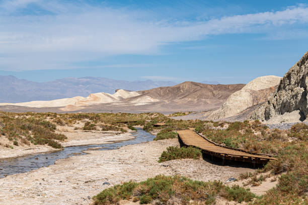 istock Salt Creek Interpretive Trail in Death Valley NP 1472165593
