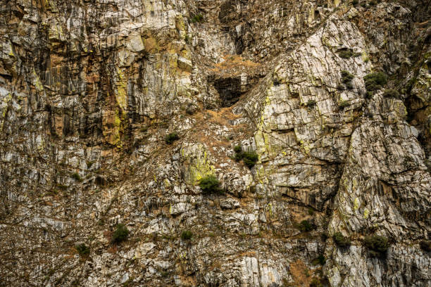 istock Algae and Moss Covered Cliff Walls of King Canyon 1472168312
