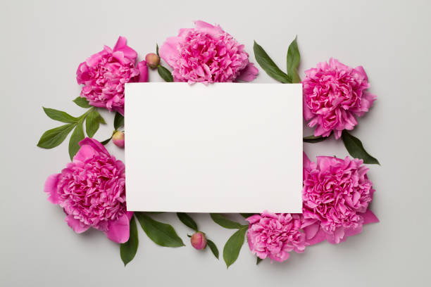 istock Greeting card mockup with peony flowers on color background, top view 1472169657