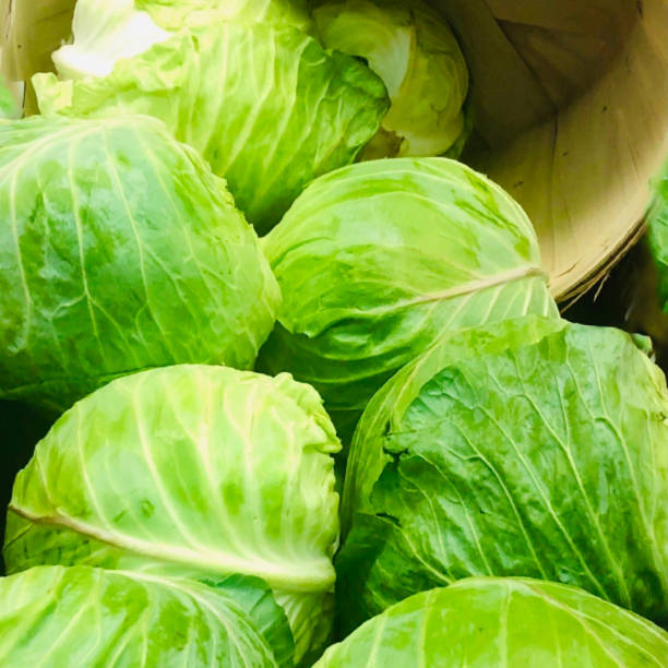 istock Green Cabbages for St. Pat’s 1472176982