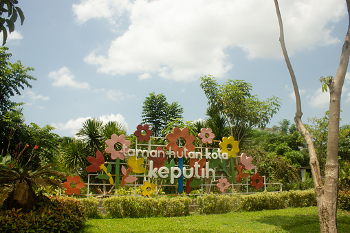 Surabaya, Indonesia - 14-01-2023 : City Forest Park, Keputih. One of the parks in the city of Surabaya. There is a beautiful bamboo forest and children's playground. A place for gathering and leisure.