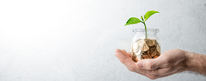 Hand Holding Small Coin Jar With Plant Growing From It Against Soft Grey Background - Investing And Business Success Concept