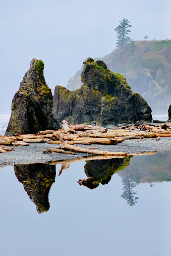 Olympic National Park, Washington, USA - February 16, 2012: Rock stacks are reflected in still water strewn with stripped tree trunks as fog enshrouds Ruby Beach along the Pacific Ocean coast.