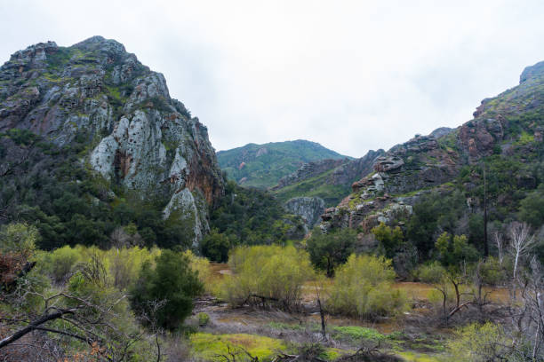 istock Muddy Malibu Creek State Park 1472190107