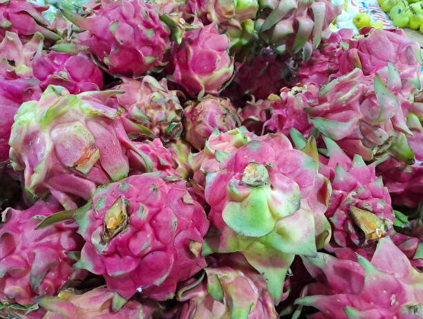istock Pile of pitaya or dragon fruit 1472200485