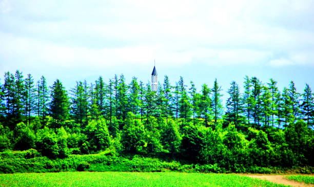 Hokkaido Biei hill stock photo