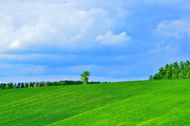 Hokkaido Biei