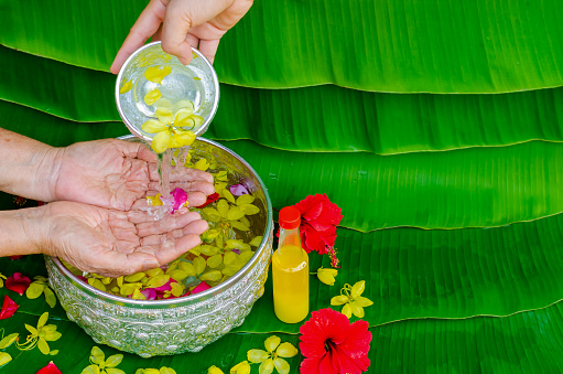Songkran festival background with hand pouring water and flowers to elder people for blessing with scented water on wet banana leaf background.