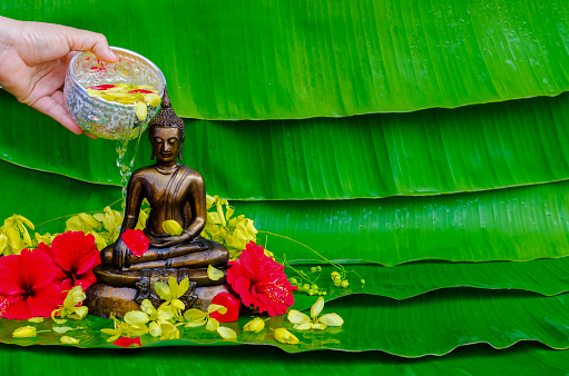 Hand pouring holy water for blessing and pray respects to Buddha statue when Thailand Songkran Festival day on wet banana leaves background.