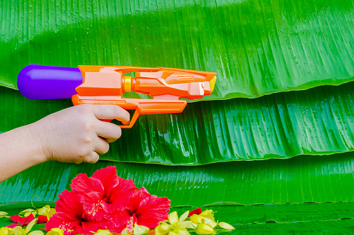 Hand holding water gun with colorful flowers on wet banana leaves background for Thailand Songkran festival.