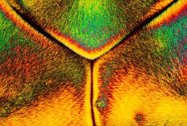 micrographie abstraite de cristaux colorés de l’acide aminé arginine. - scientific micrograph science bee abstract photos et images de collection