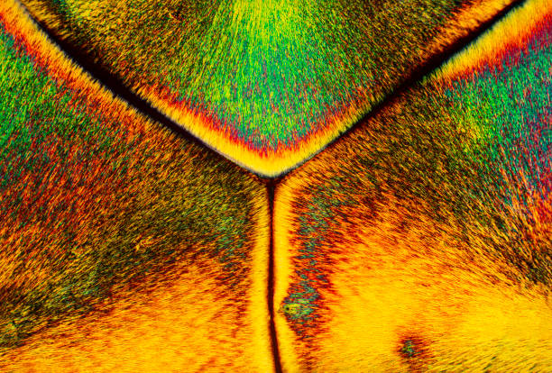 micrografia astratta di cristalli colorati dell'aminoacido arginina. - arginine foto e immagini stock