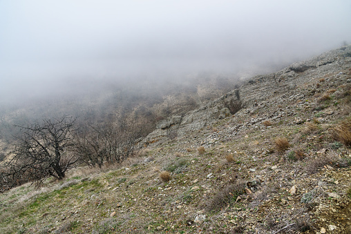 Landscape of Karadag Reserve in early spring. View of mountains in fog and clouds. Crimea