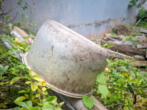 an old, rusty rice cooker lay in a thicket of weeds