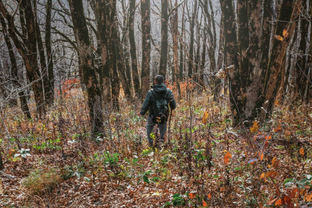 istock A young man with a backpack in the middle of an autumn forest. 1472225228