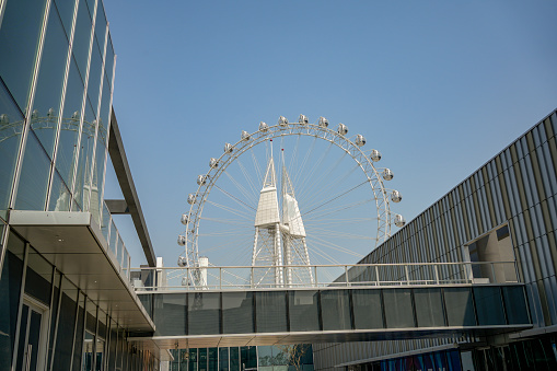 The Ferris wheel in the city