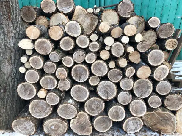 Photo of The background consists of saws of thick logs stacked on top of each other in the form of a woodpile.