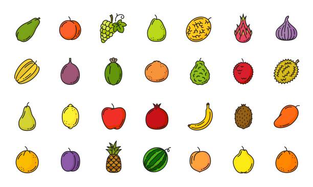 ilustraciones, imágenes clip art, dibujos animados e iconos de stock de iconos de línea de color de frutas tropicales y exóticas crudas - plum grape fruit clip art