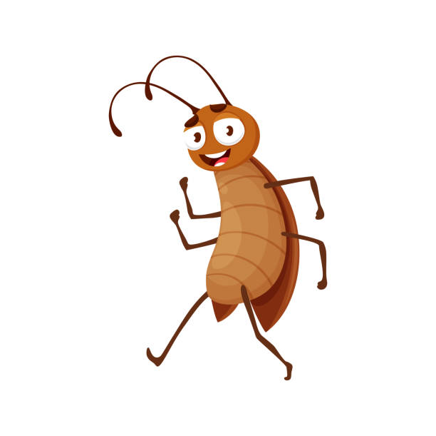 Cockroach Face Vector 340+ Smiling Cockroach Stock Illustrations, Royalty-Free Vector ...